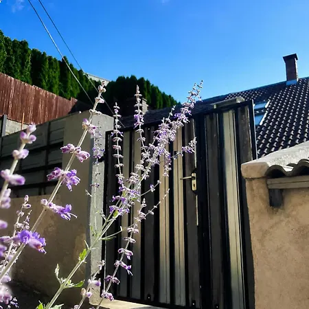 Apartament Ady Haziko Beci