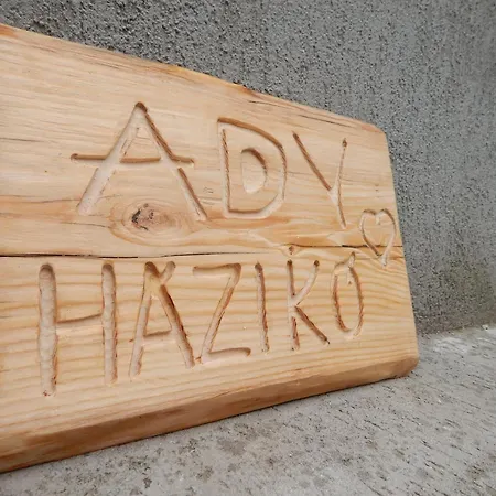 Ady Haziko 페치